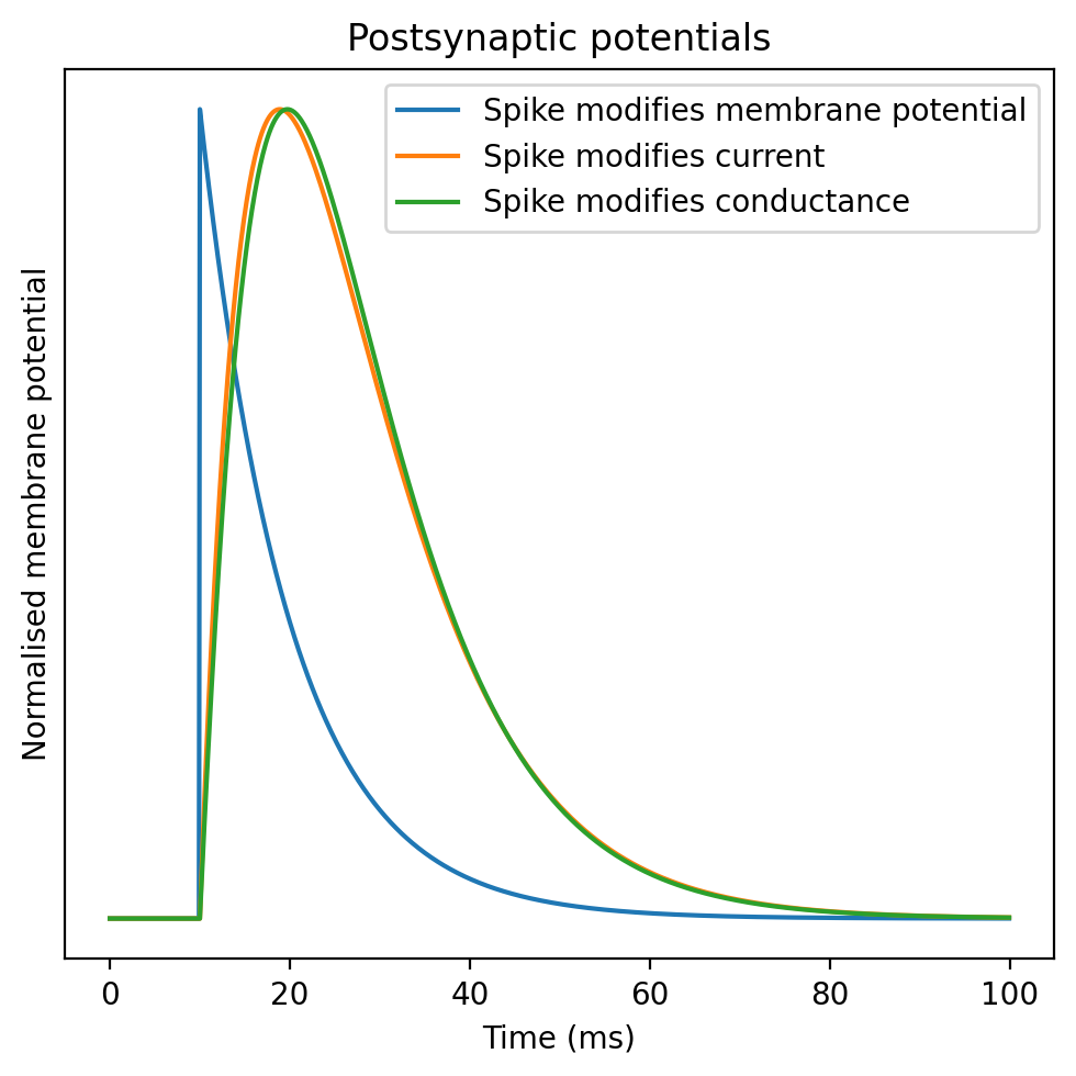 <Figure size 1000x1000 with 1 Axes>