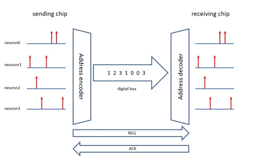 Common AER scheme in neuromorphic systems (See source)