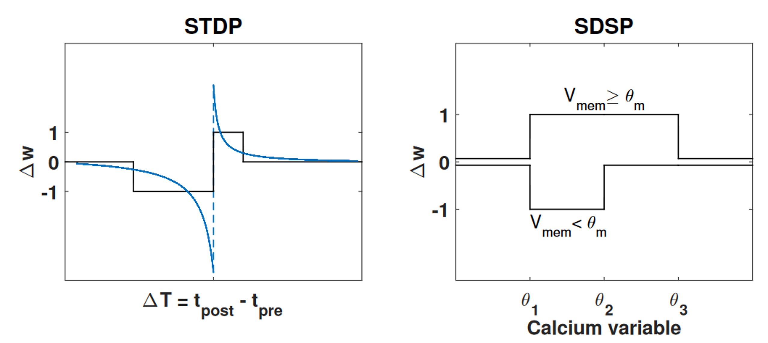 STDP vs SDSP.