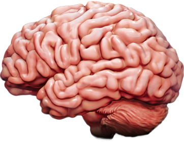 Image of the human brain with a power consumption of <20 W