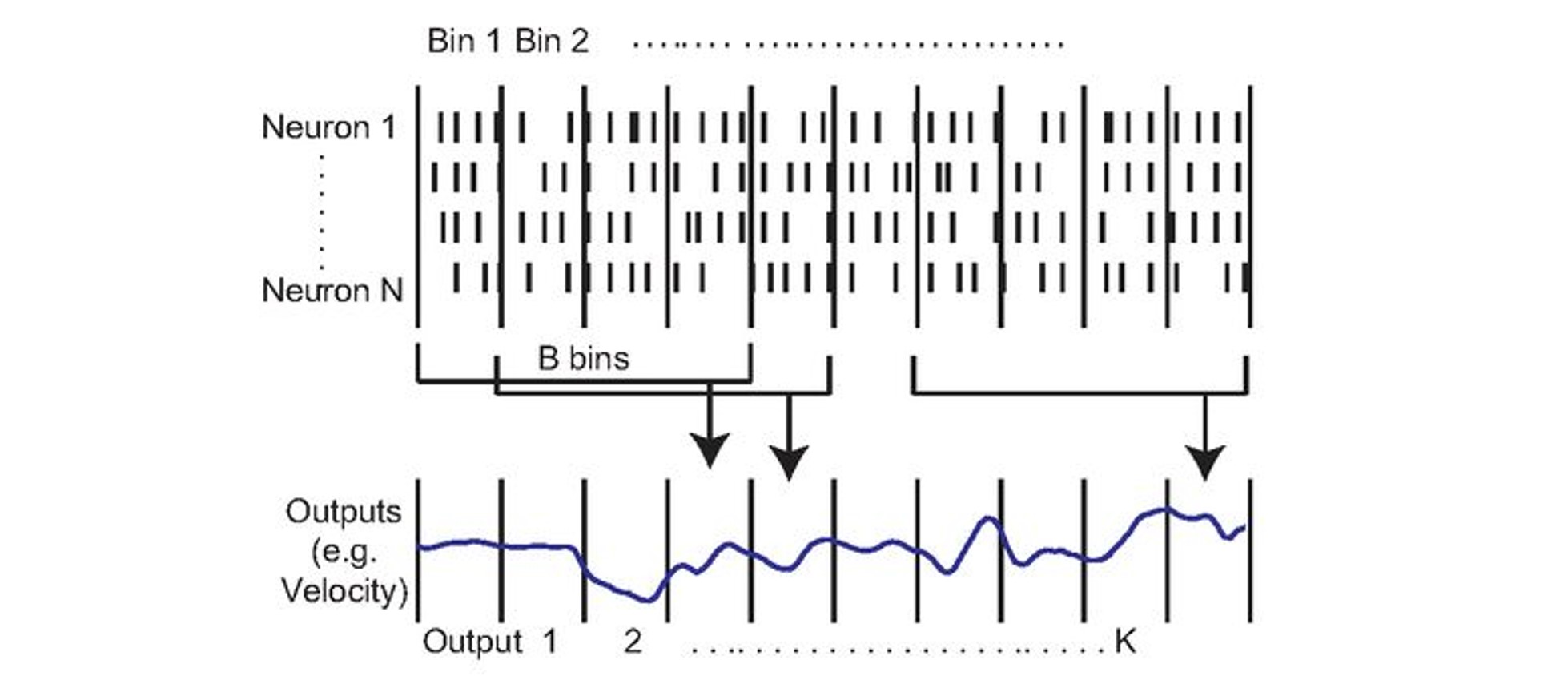 Decoding attempts to relate neural activity to other variables. For example, the animal’s velocity .