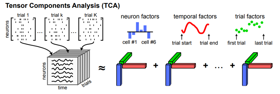 Tensor component analysis .