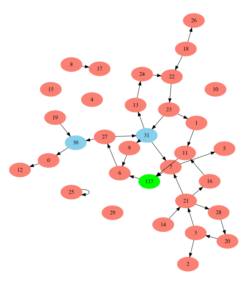 Example Network evolved to Classify Breast Cancer Images