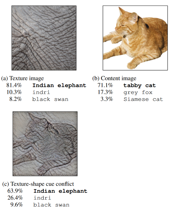 Cat Textural Image vs Content