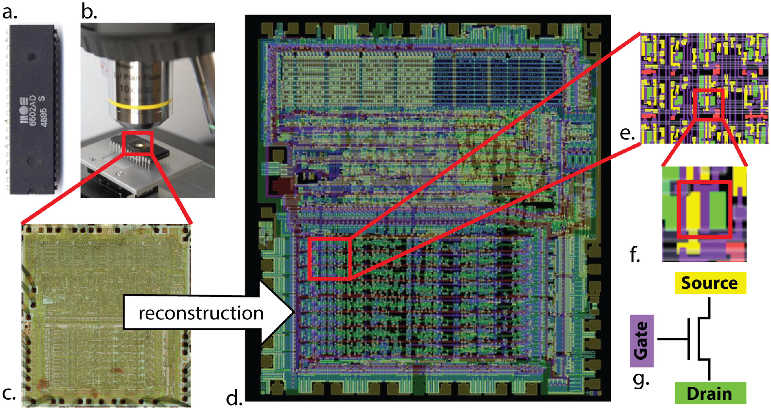 Microprocessor Connectome