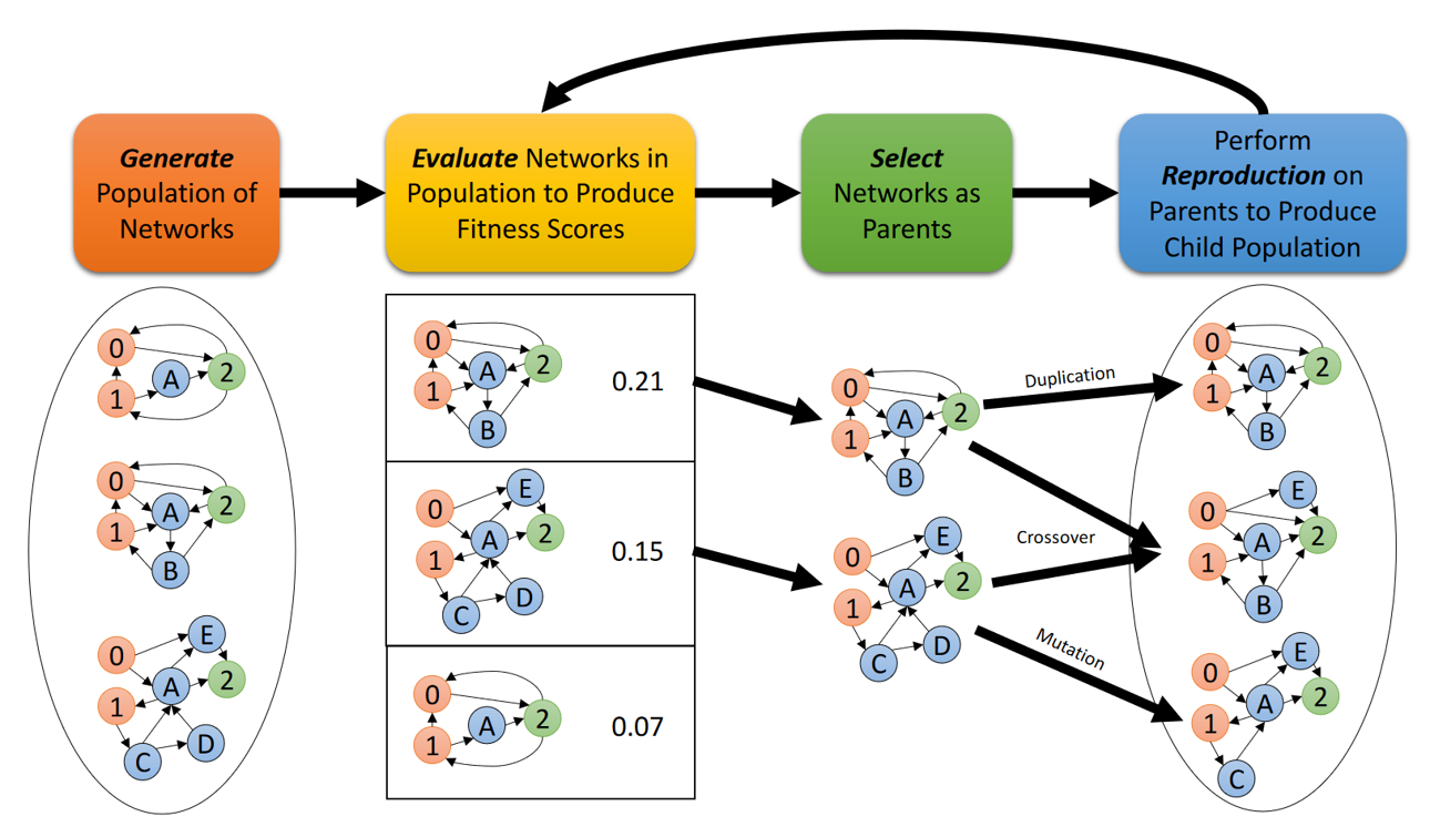 Katie Schuman's Approach to Evolutionary Algorithms