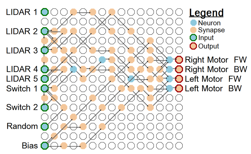 Robot Controlled by Trained Neuromorphic Hardware Network