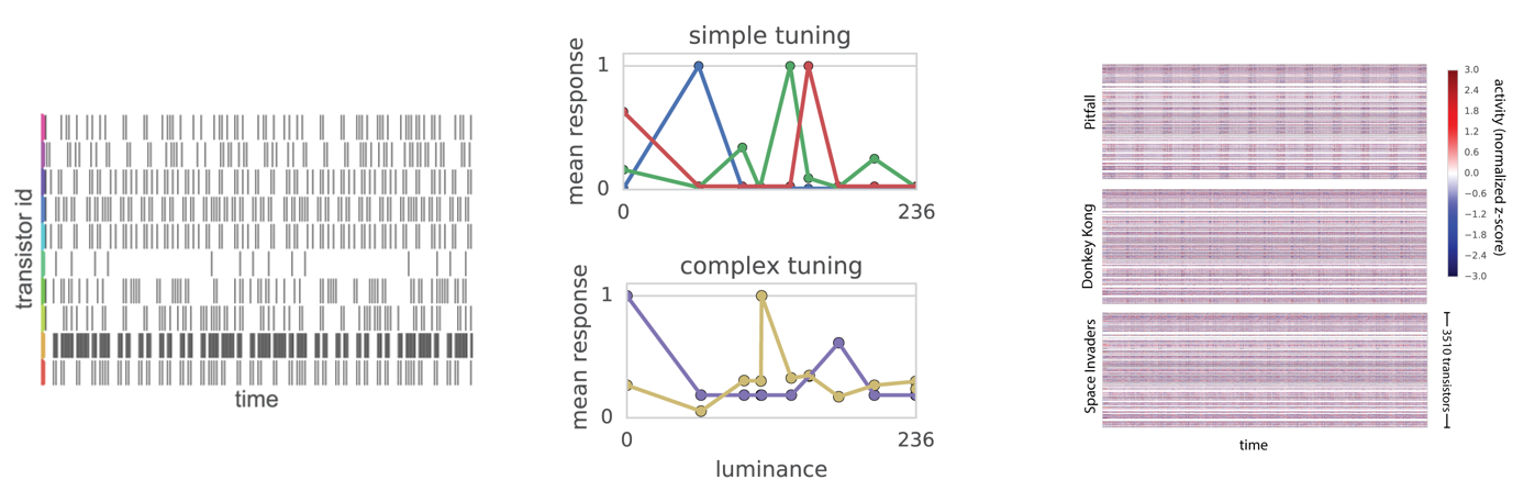 Microprocessor Activity Patterns