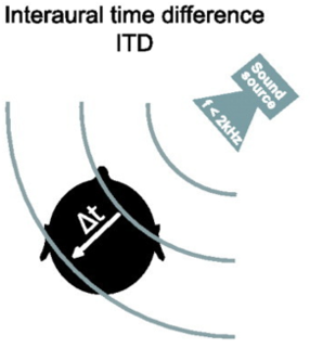 Detecting where sound is coming from using difference in arrival time between two ears .