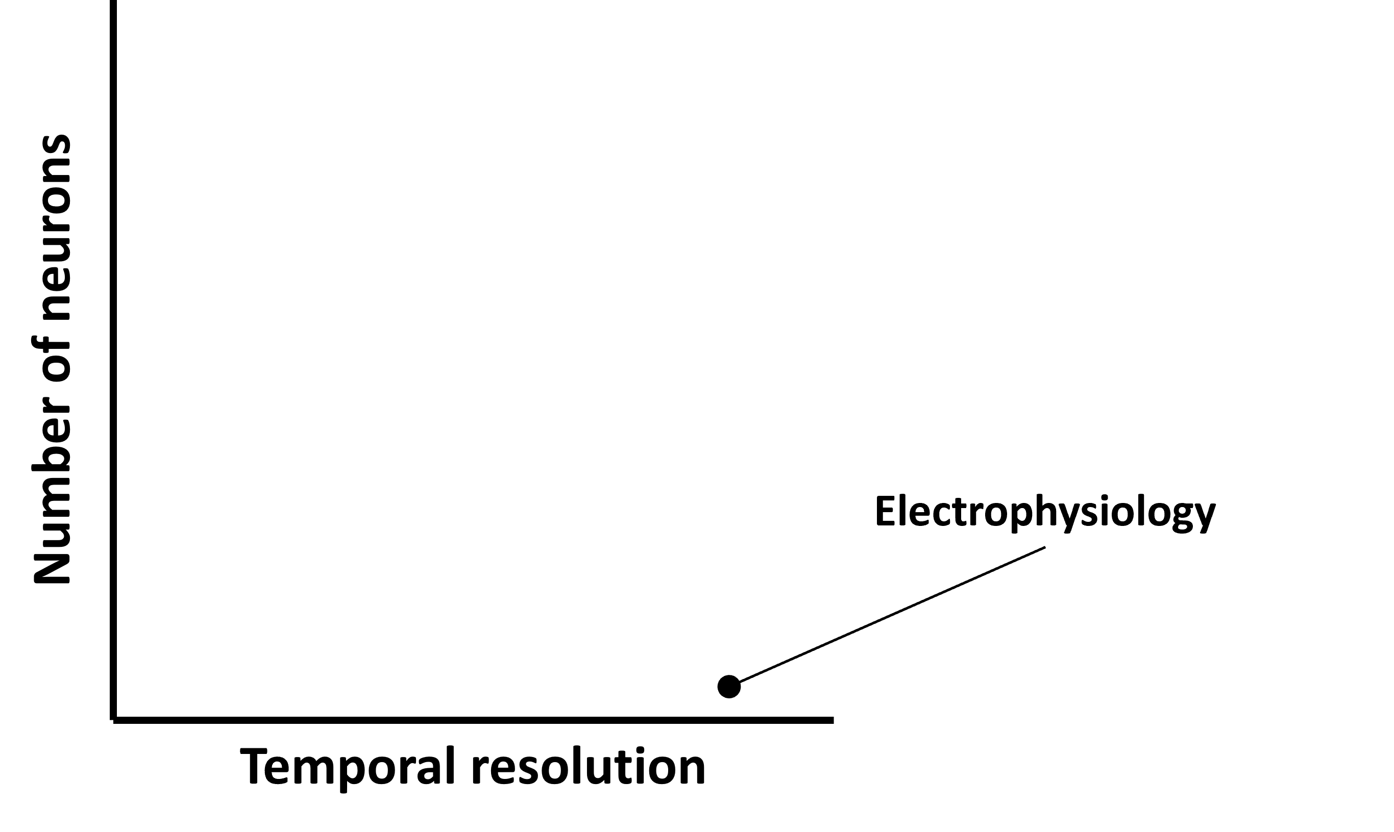 Different techniques for recording neural activity trade-off temporal resolution (x-axis) and the number of neurons they can record simultaneously (y-axis).