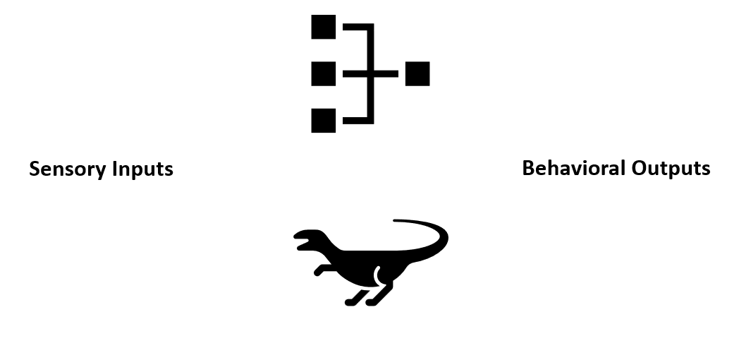 The sensorimotor transformation.