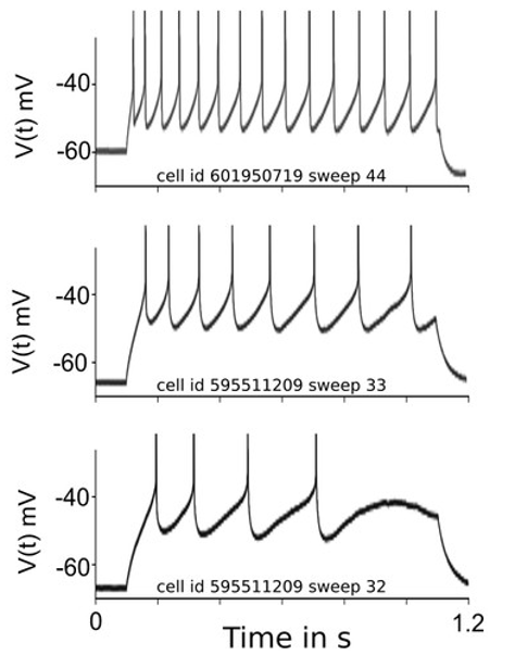 Spike Frequency Adaptation