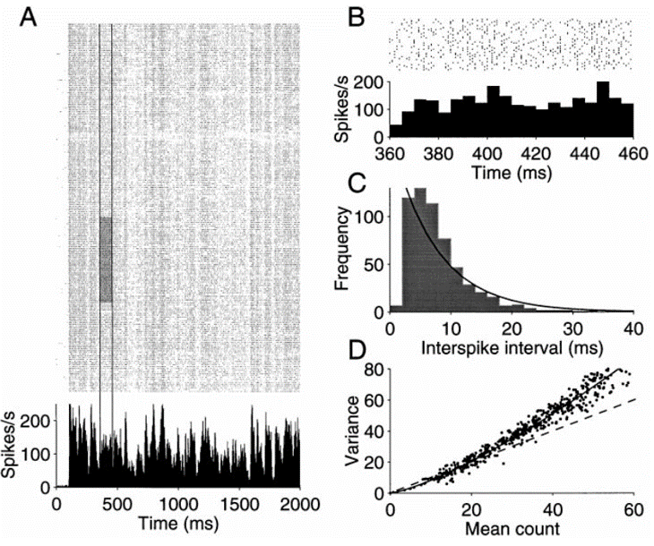 Spike Timing Results from Same Stimuli