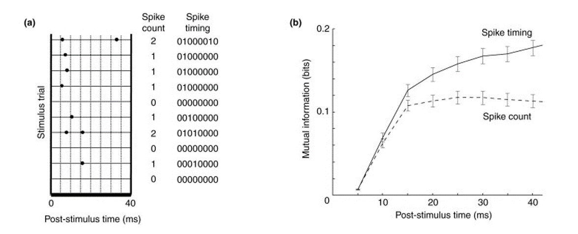 Spike Rates (Counts) Results