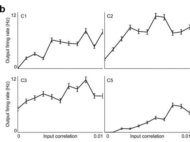 Output Neuron Firing Rate