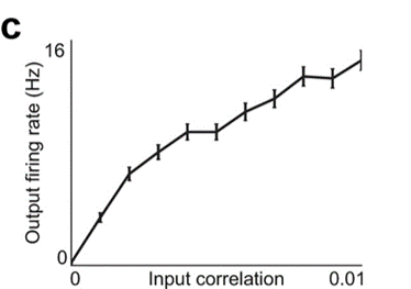 Output Neuron Firing Rate