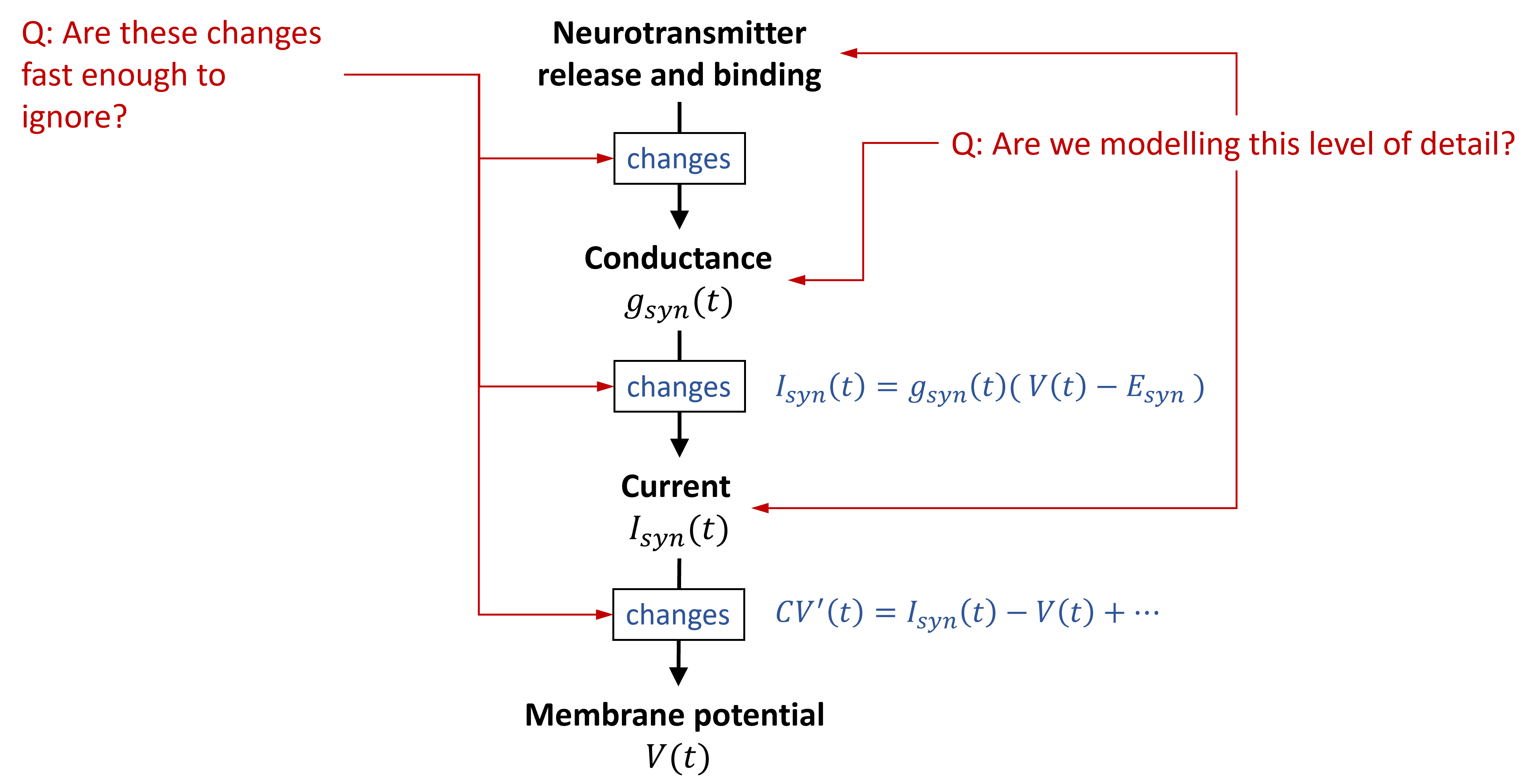 Deciding on the right level of abstraction for synapse models.