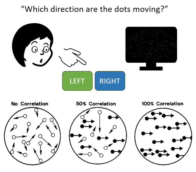 Random Dot Kinematogram