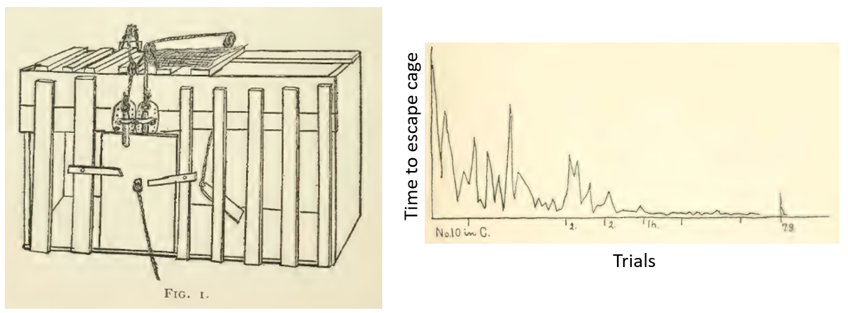 Thorndike Experiment Diagram and Results